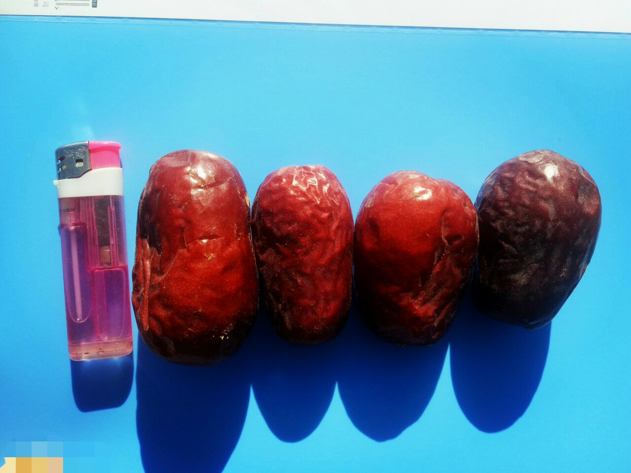 太谷米枣横切对比图：左侧为真米枣（乳白致密果肉、无空腔、汁胞细长平行）、右侧为伪长枣（果肉微黄、中心空腔明显、汁胞粗短不规则）