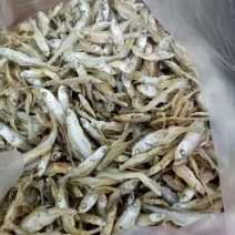翘白鱼仔干