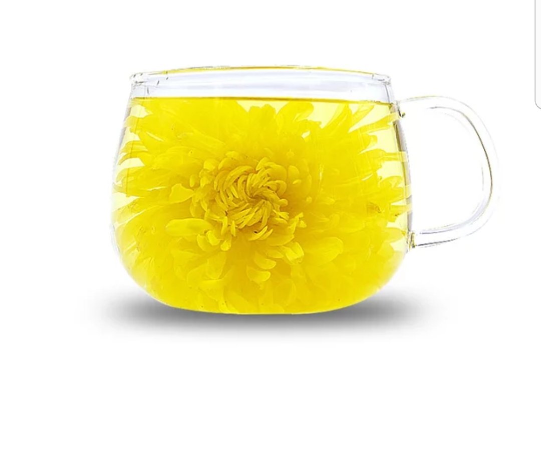 透明玻璃杯中冲泡完成的茶汤特写:汤色呈明亮琥珀黄色(透光度>90%),无浑浊或絮状物;杯底可见完整金丝皇菊花瓣舒展、枸杞粒饱满微膨、无碎渣;水面漂浮少量金黄色花蕊,体现优质金丝皇菊茶完整花型与低农残工艺 枸杞金丝皇菊茶汤色与叶底图