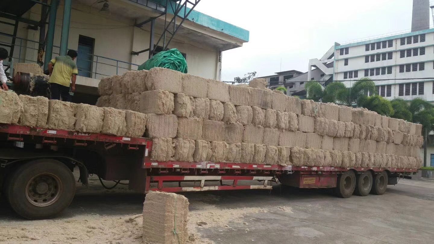 甘蔗春季施肥现场