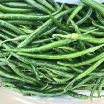 二荆条