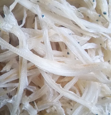 2刀鱼,15白虾,14针空鱼