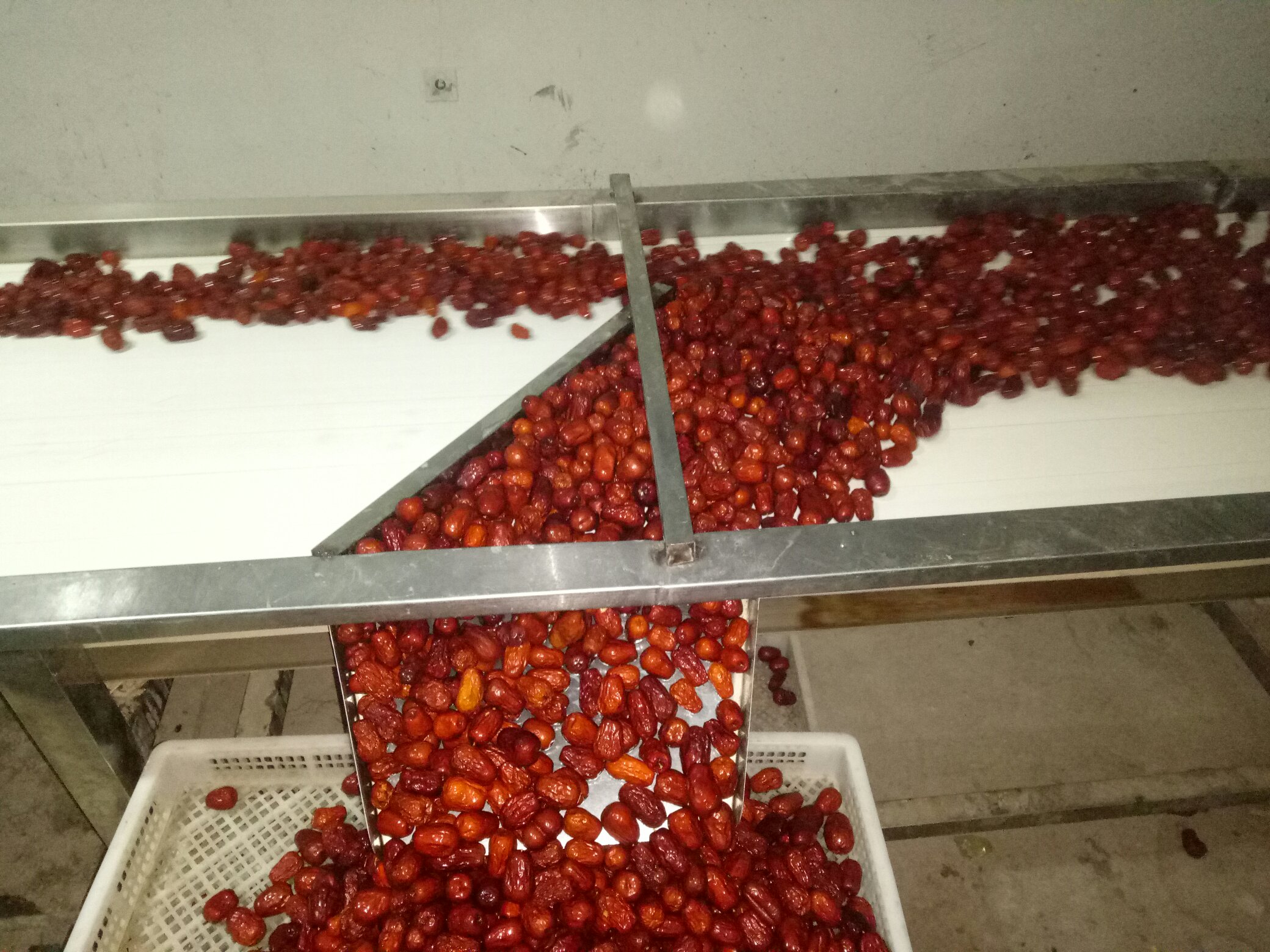 展示红枣去皮机在加工厂现场运行的场景,工人正在进行进料操作,背景可见果皮分离后的果实输送带 红枣去皮机工作现场图