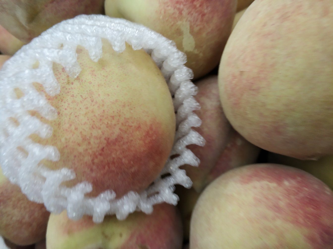 医生与患者咨询场景