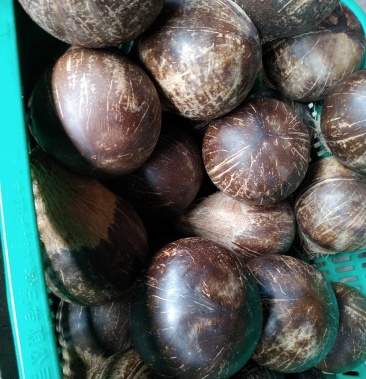 椰子黑椰皇孕妇水果两个装单重2斤包邮