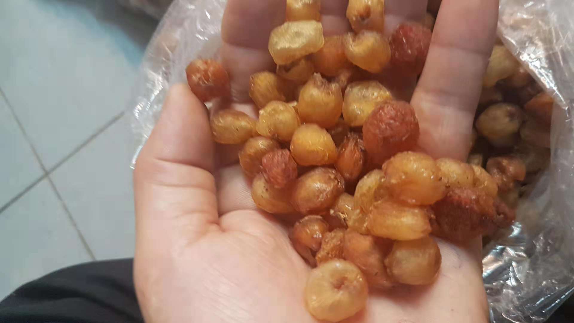 古代医书中记载的桂圆药用价值