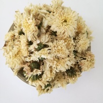 七月菊，中药材七月菊，菊花