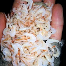 大虾皮