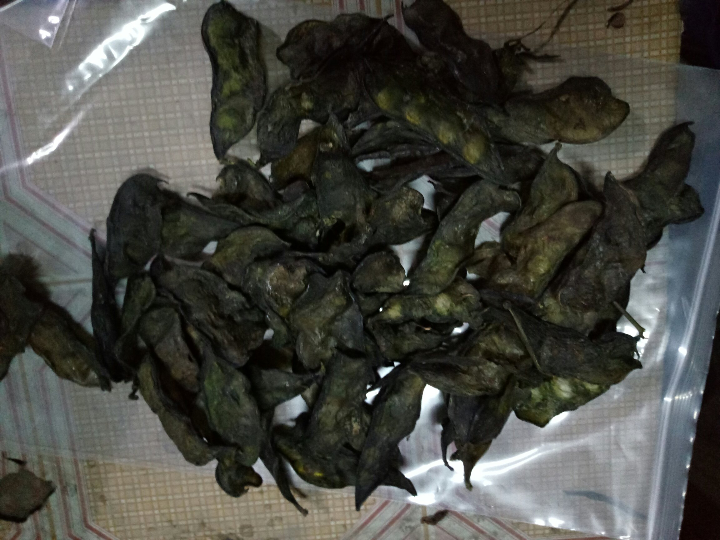 干眉豆与新鲜扁豆的选购对比图