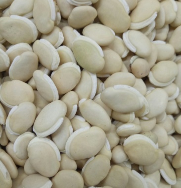 白扁豆颗粒饱满颜色白光滑