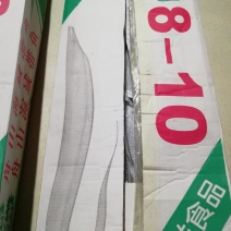 舟山刀鱼