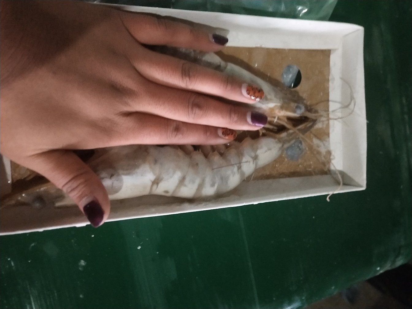 沼虾与白对虾不同烹饪方式对比图,展示其适合的菜式类型 沼虾与白对虾烹饪方式对比图