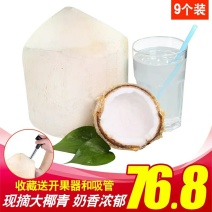 现摘海南椰青9个装新鲜包邮当季水果去皮椰子鲜椰子泰国老椰