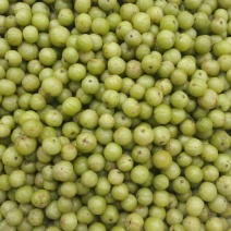 油甘子