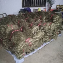 安徽山东纯山芋粉丝