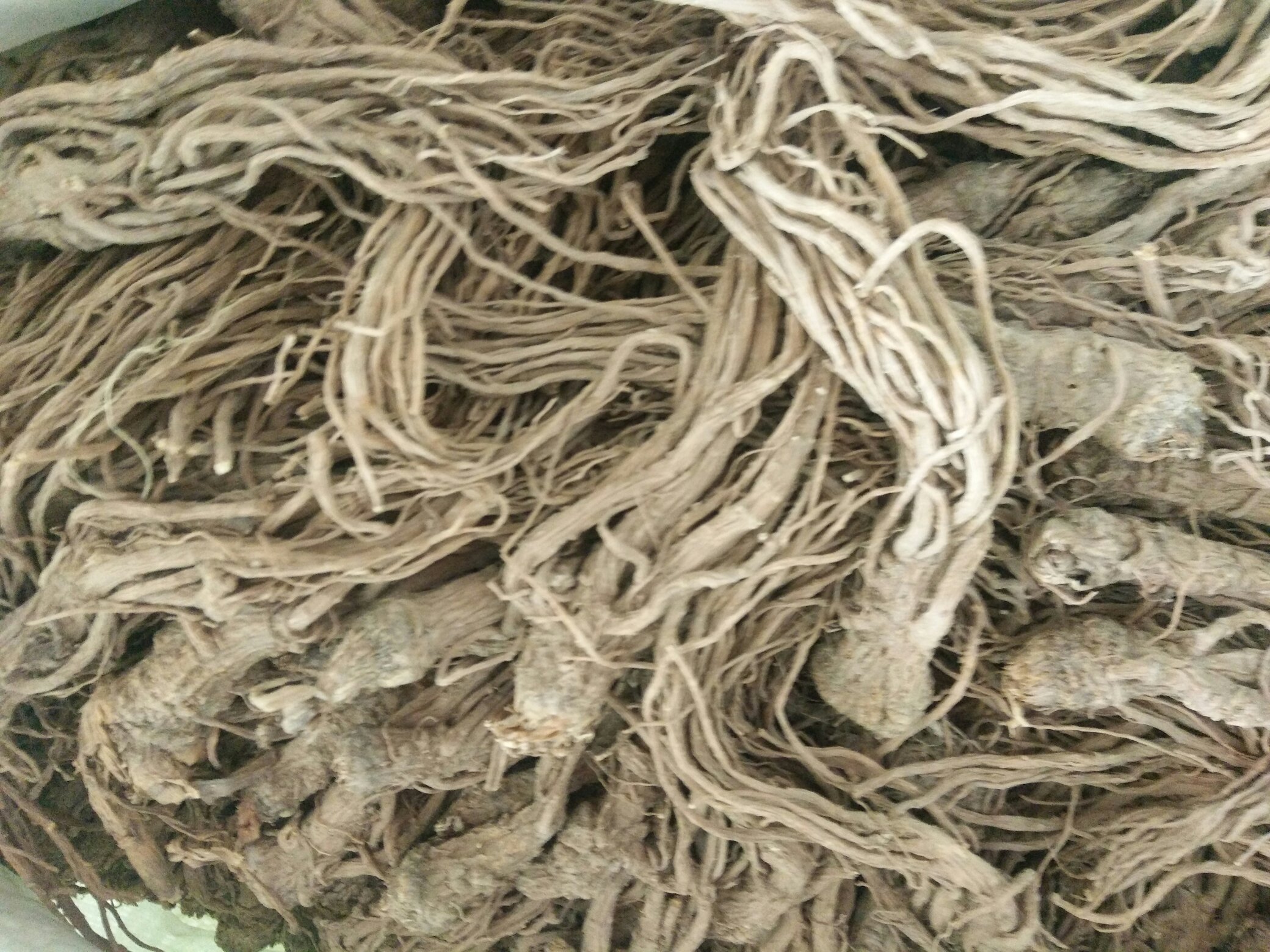 补血养颜食材搭配