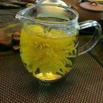 元甲山牌金丝皇菊