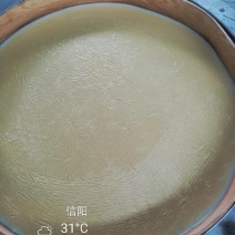 豆油皮