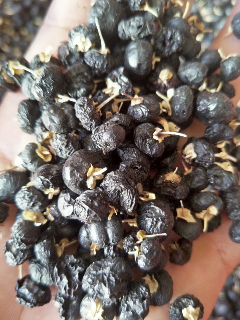 [黑枸杞批发]宁夏银川兴庆区枸杞 1.00元/斤黑枸杞 _ 一亩田