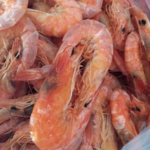 烘干海虾，虾仁，虾皮