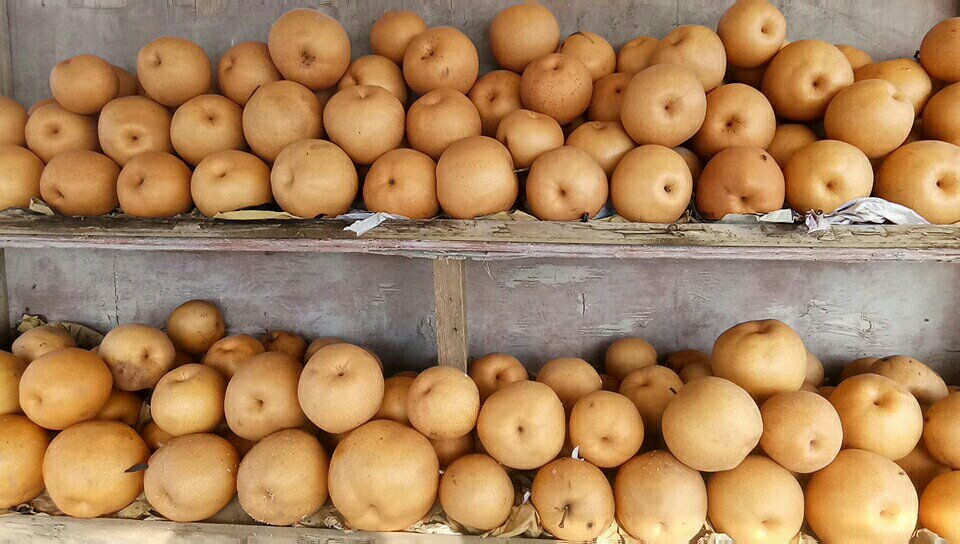 市场中摆放整齐的黄金梨,果皮金黄,吸引顾客选购 市场上摆放整齐、色泽金黄的黄金梨