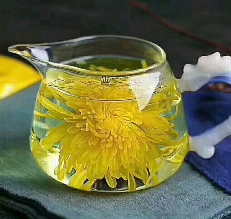金丝皇菊茶冲泡图