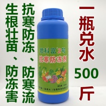 喷科富防冻剂草莓番茄黄瓜韭菜防冻液抗寒防冻剂