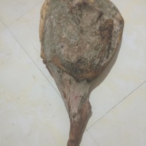 批发，零售火腿，五花腊肉