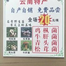 云南特产，各种野生菌
