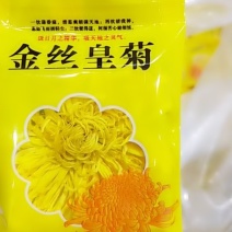 金丝菊，徽州贡菊