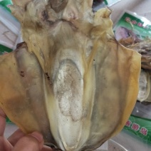 墨鱼干，炖汤，佳品。