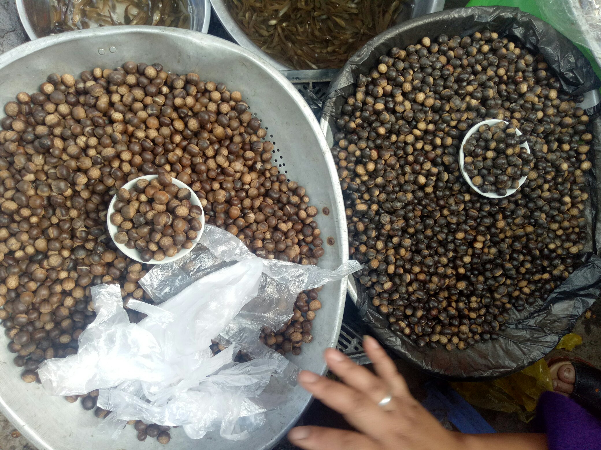锥栗与板栗在市场中的应用场景