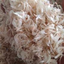 虾皮淡干