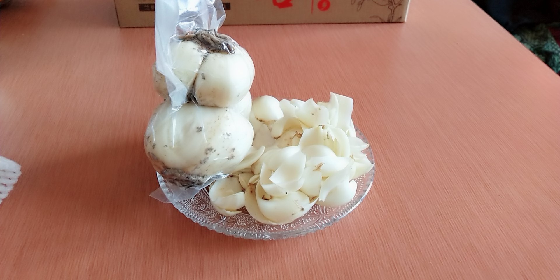 百合鳞片扦插示意图