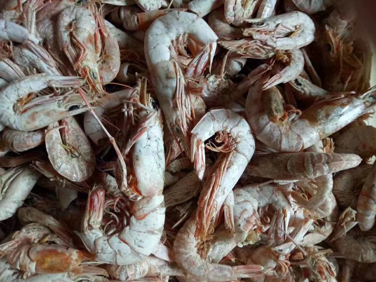 新鲜圆椒和虾仁已切好,准备下锅 圆椒与虾仁的食材处理图