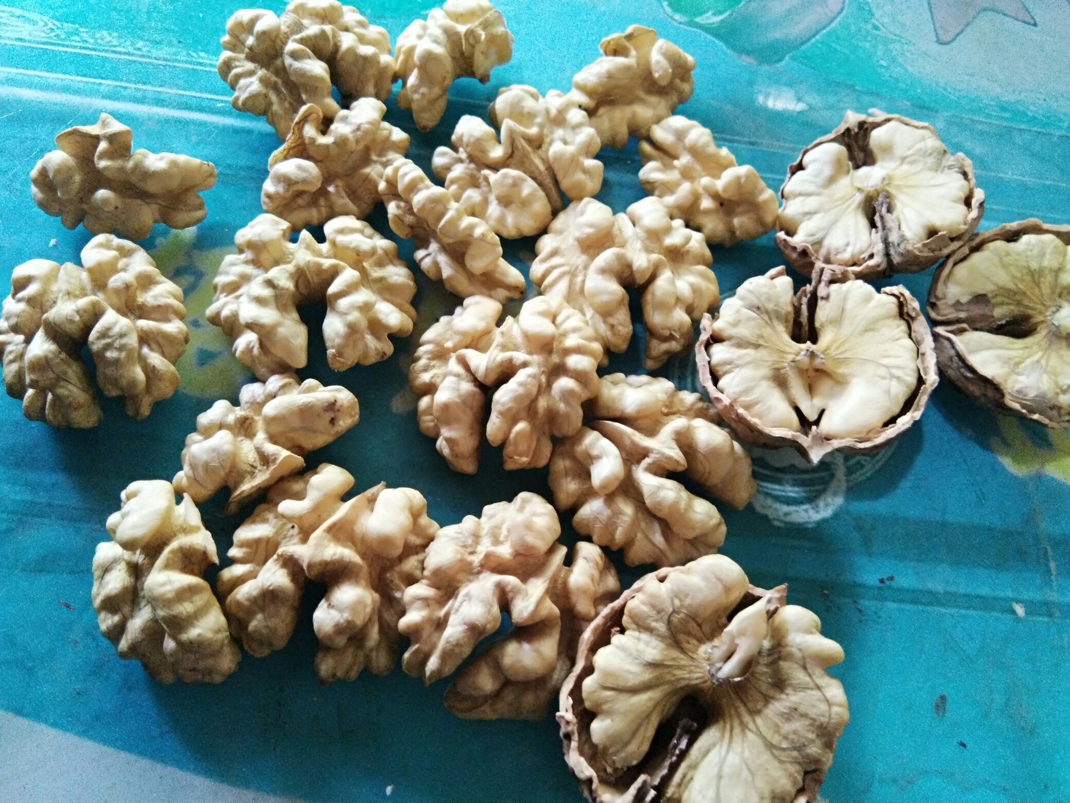 打开的新疆薄皮生核桃特写