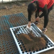 育苗杯，营养钵快速装土神器