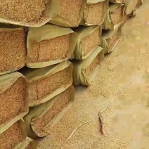 稻壳