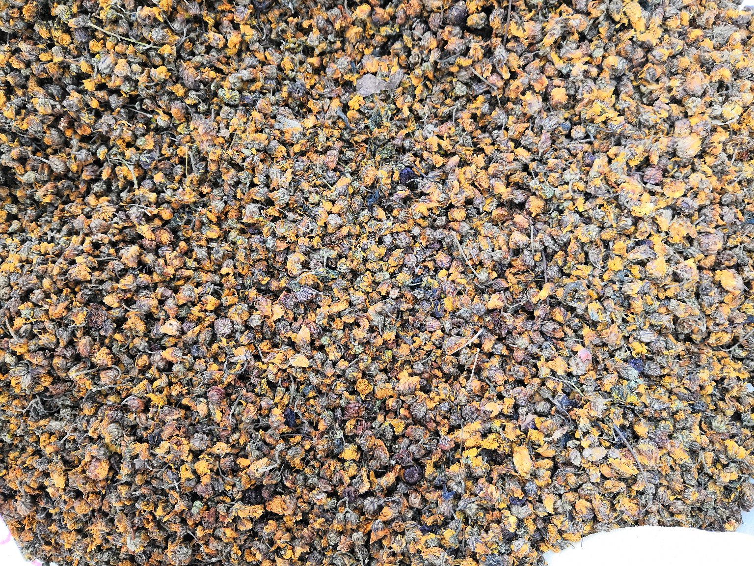 野菊花与洋甘菊花部显微结构对比图