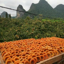柿饼，恭城柿饼批发