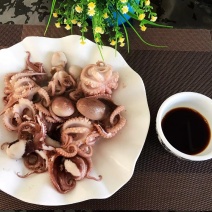 八爪鱼