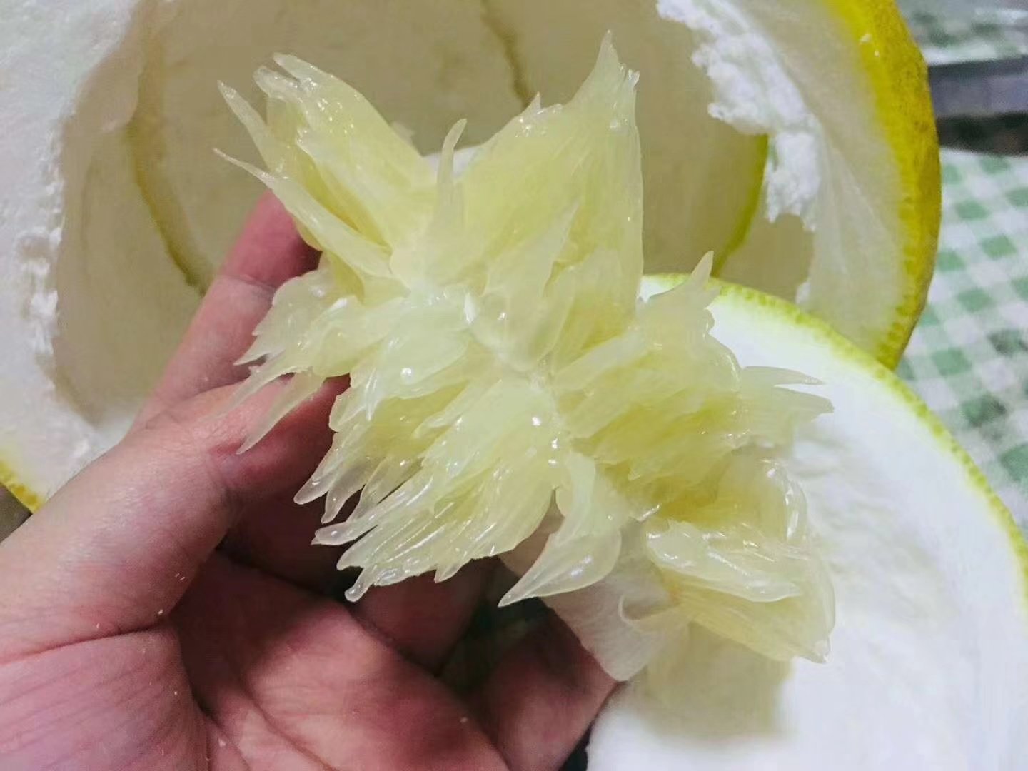 切开的沙田柚展示内部结构