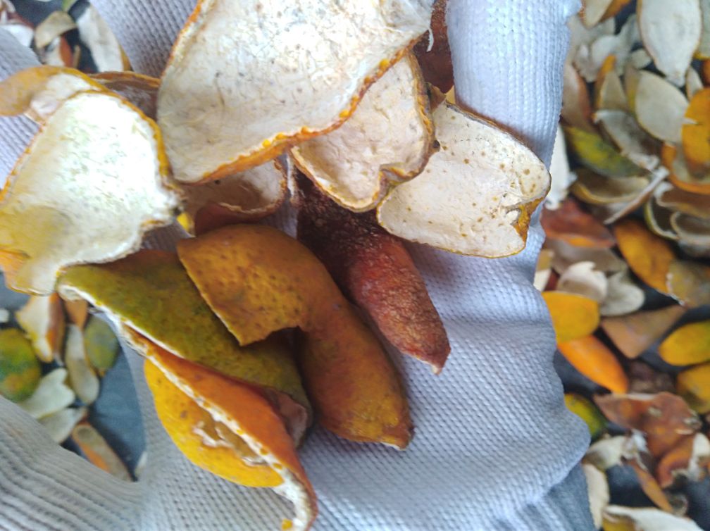 蜜橘果干成品展示 蜜橘果干成品展示