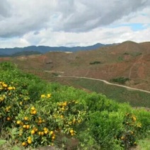 山地转让
