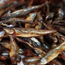 火焙鱼