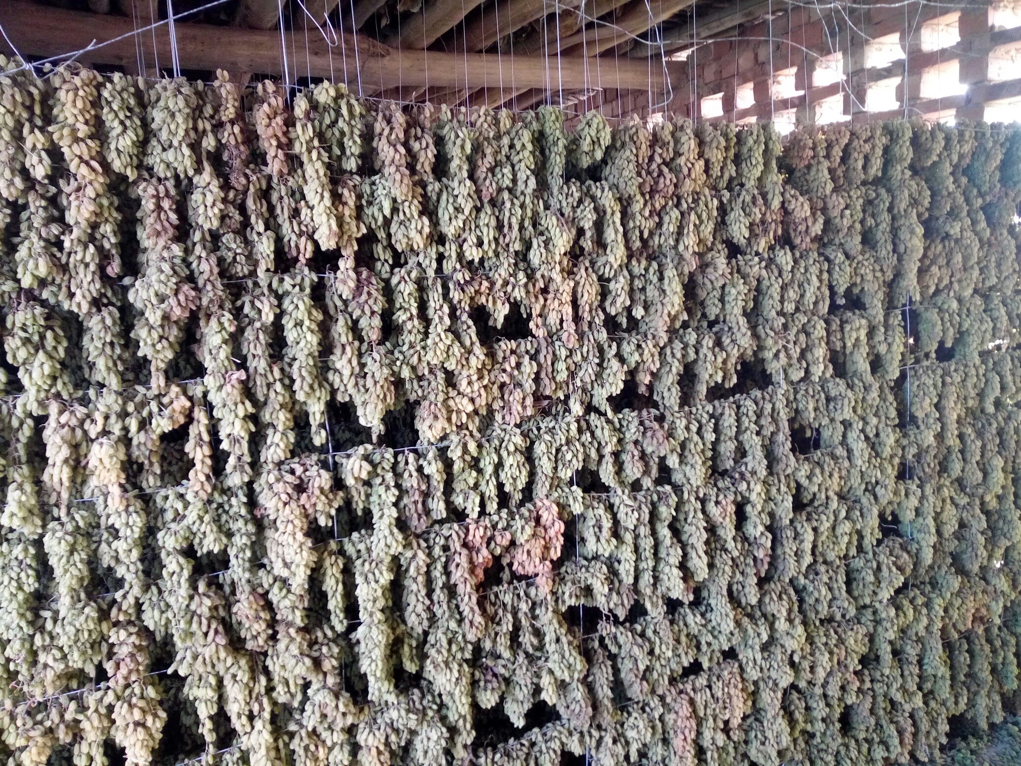 展示山楂果晾晒成山楂干的过程,背景为自然阳光下的晾晒架 山楂干的制作过程