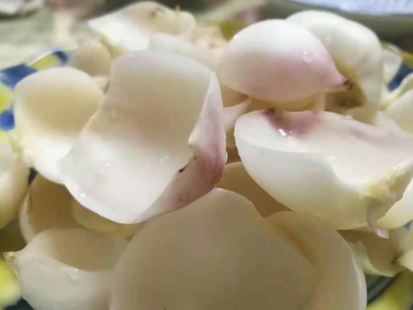 判断百合是否变质