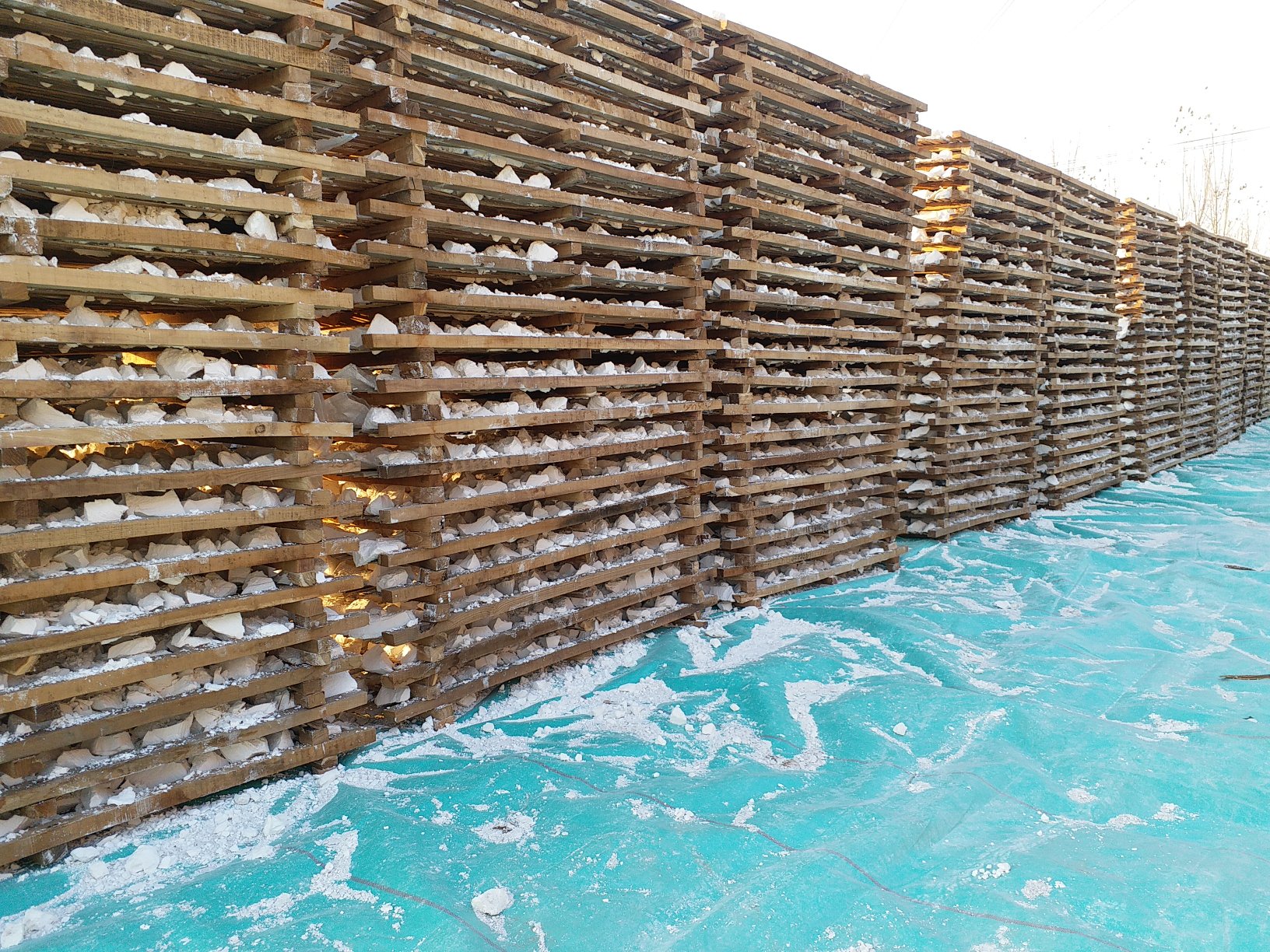 甘薯淀粉加工实验室实景,科研人员正在进行烟薯25与主流淀粉品种的同步湿法提取对比实验,重点观测浆液稳定性、沉降速度及沉淀白度 实验室淀粉提取对比场景:左侧烧杯盛放烟薯25研磨滤液(乳白色、絮状沉淀明显),右侧为徐薯22对照样(更浓稠、沉降更快),背景可见pH计、离心机与标准淀粉测定仪