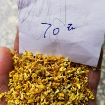 干桂花供应