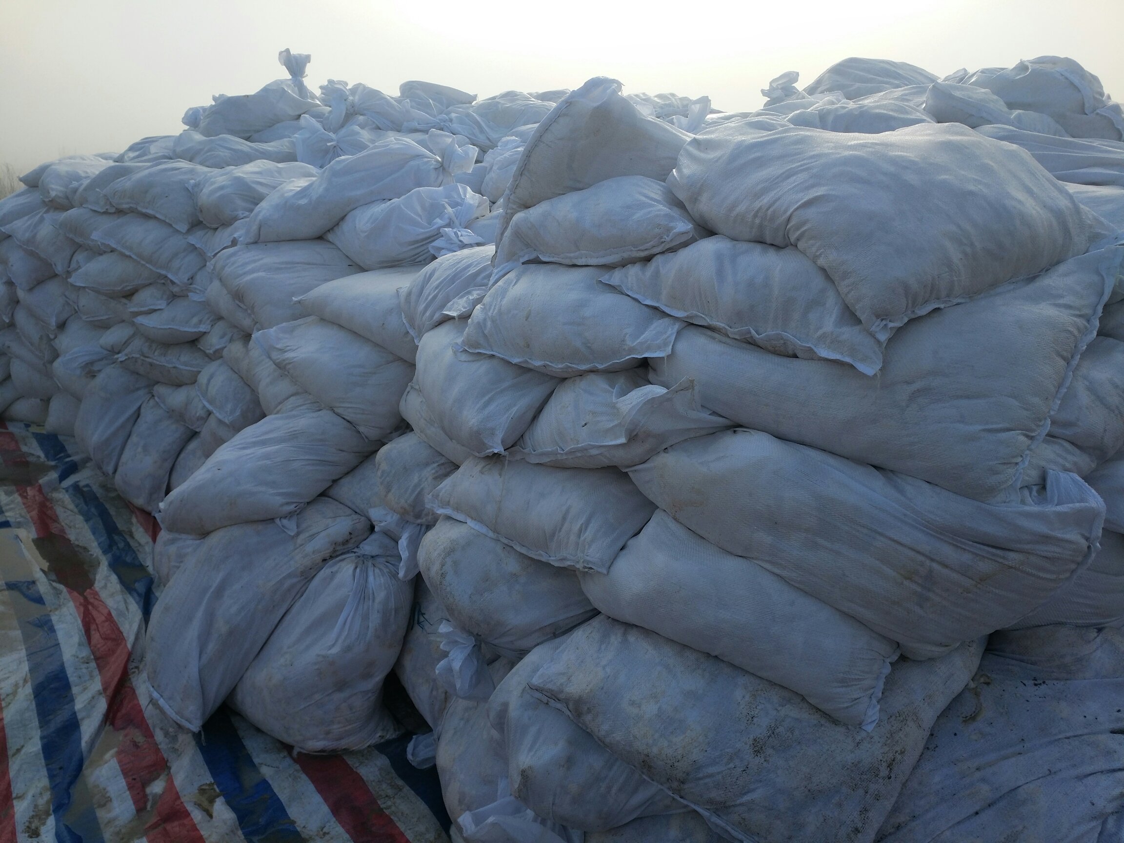 现代化粉葛淀粉加工车间实景图 粉葛淀粉加工生产线